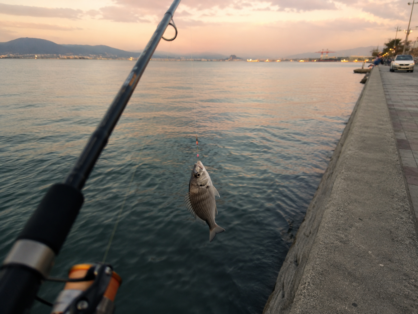 Kordon'da akşam çipurası 🎣